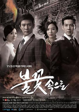 舞钢网站建设及优化